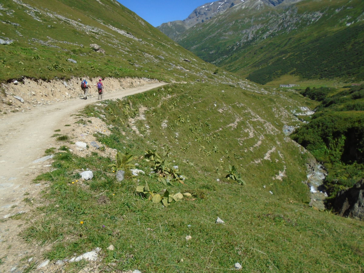 vanoise05226.jpg