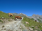 vanoise05208.jpg