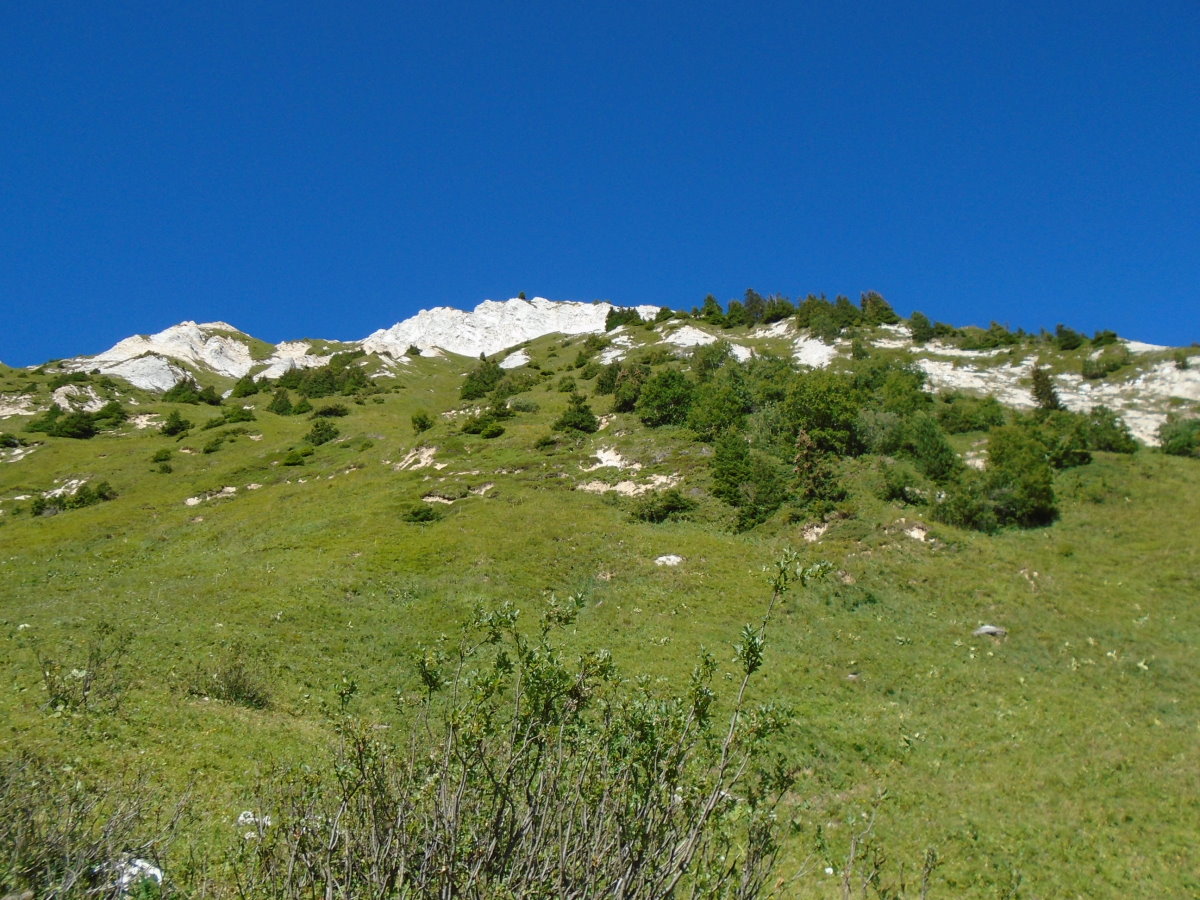 vanoise05256.jpg