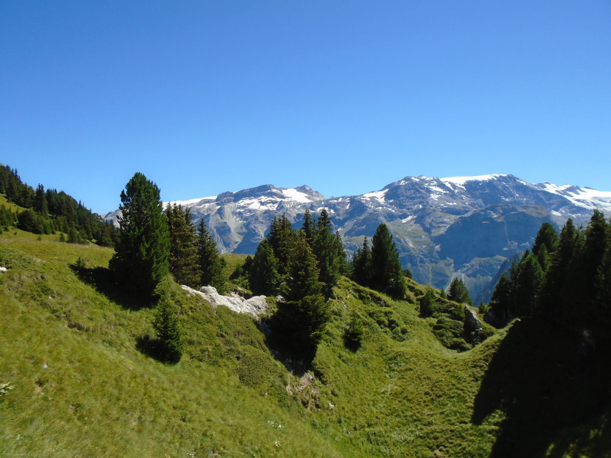 vanoise05279.jpg