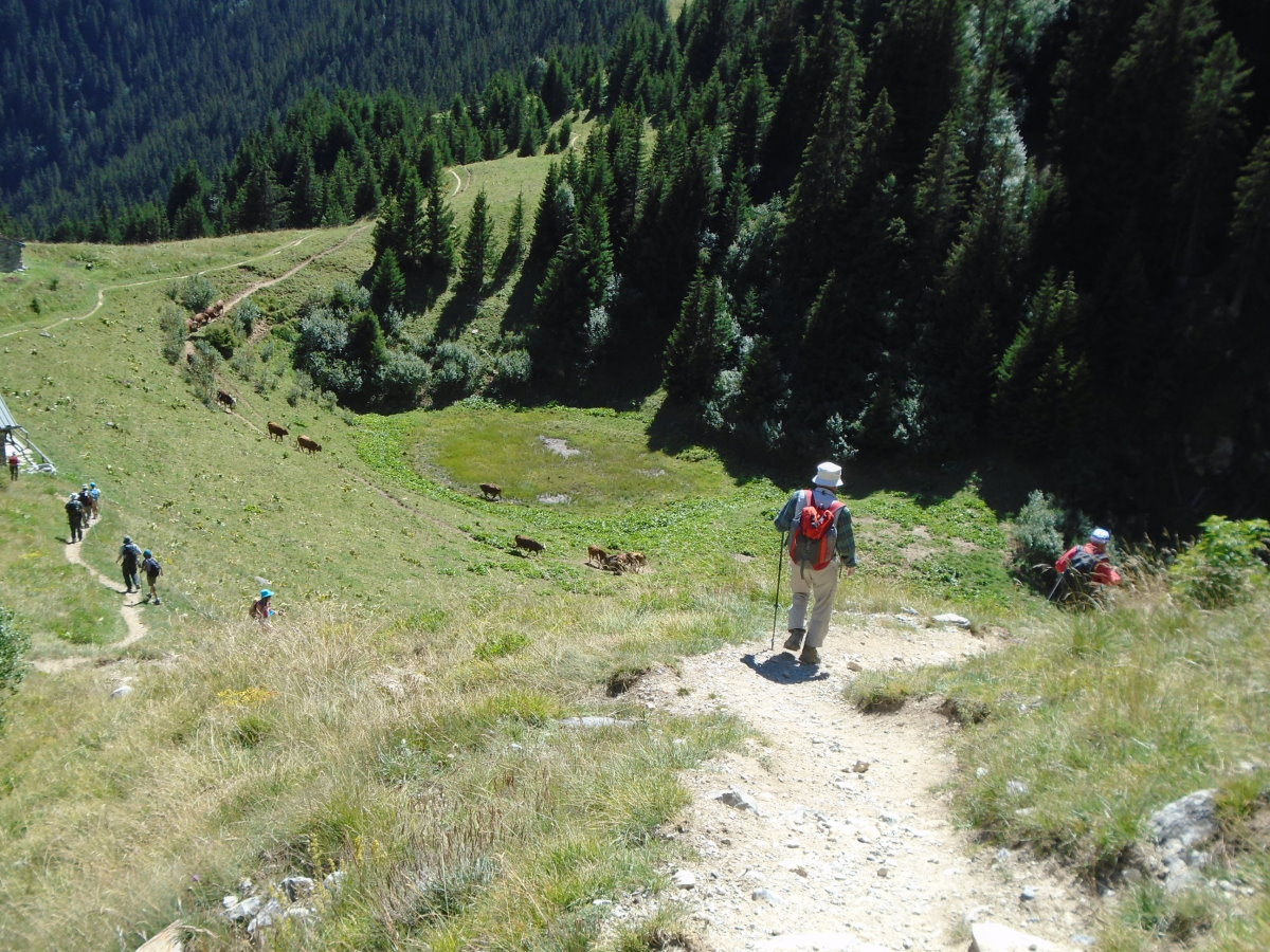 vanoise05287.jpg