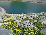 vanoise05340.jpg