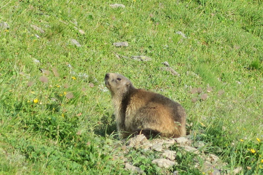 vanoise6790.jpg