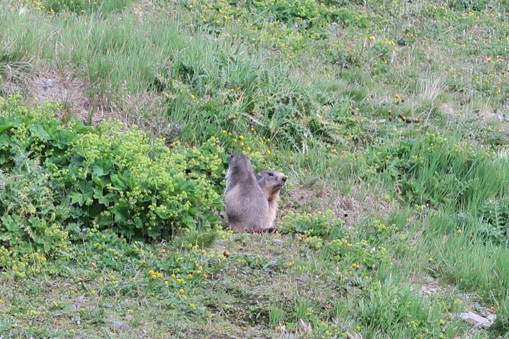 vanoise6794.jpg