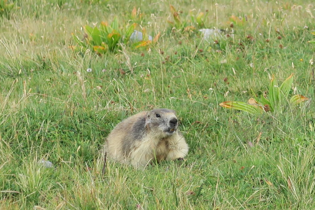 vanoise6825.jpg