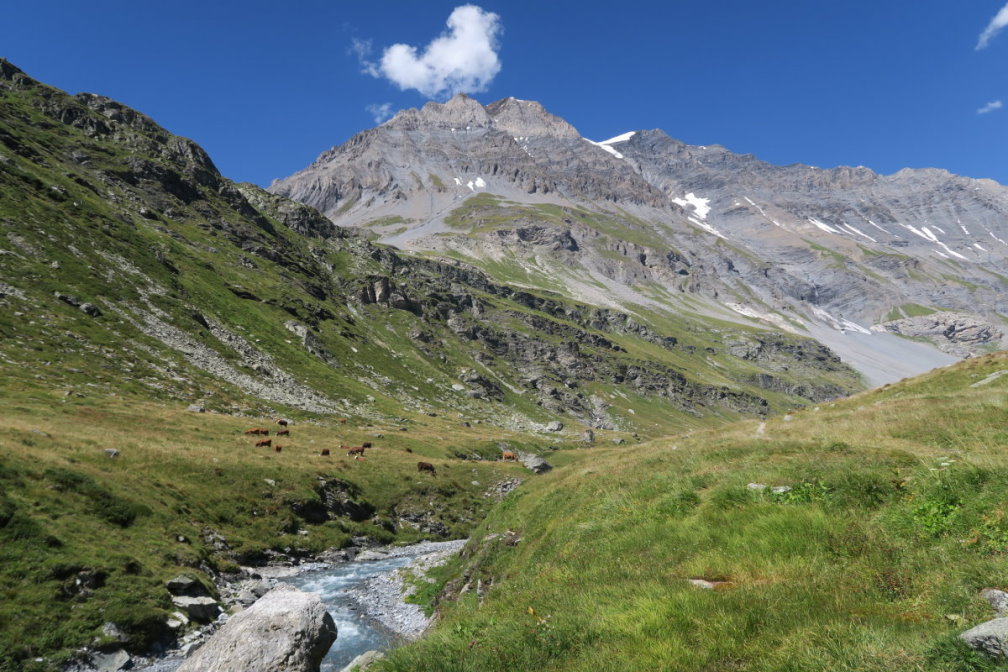 vanoise6658.jpg