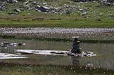 vanoise6628.jpg