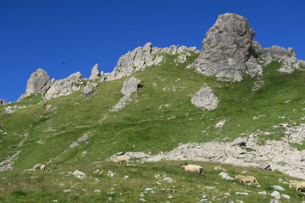 vanoise6945.jpg