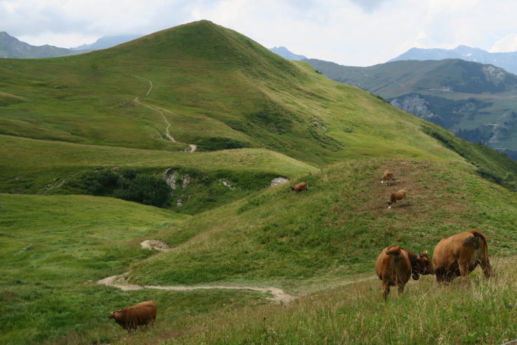 vanoise7006.jpg