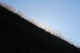 vanoise7025.jpg