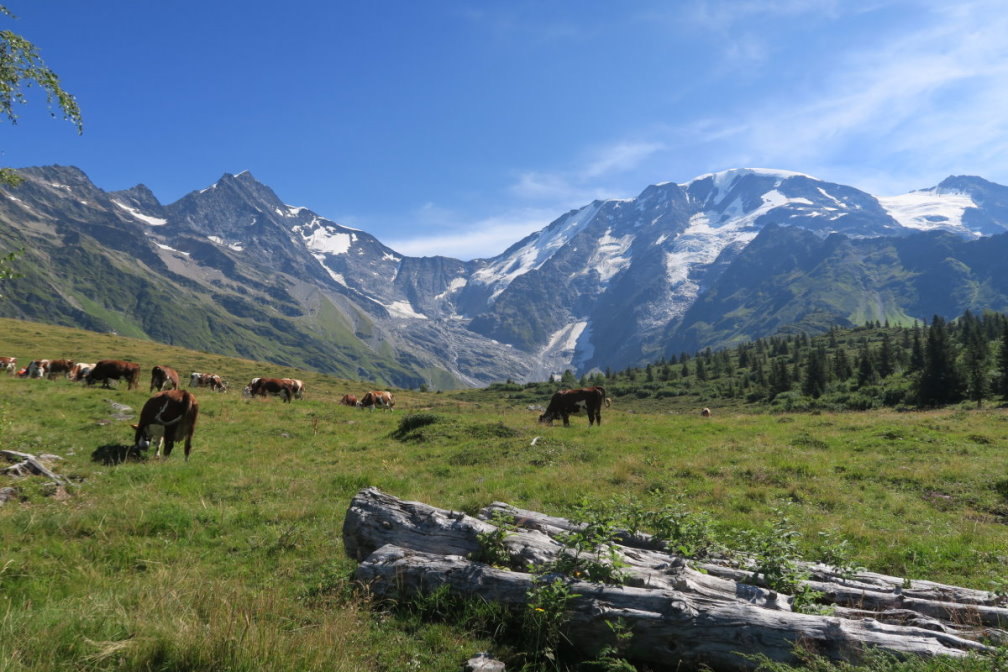 vanoise7163.jpg