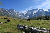 vanoise7163.jpg