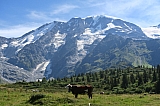vanoise7164.jpg
