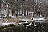 foretsoignes0657.JPG