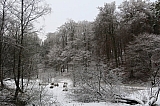 foretsoignes0658.JPG