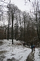 foretsoignes0659.JPG