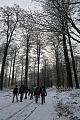 foretsoignes0660.JPG