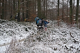 foretsoignes0665.JPG