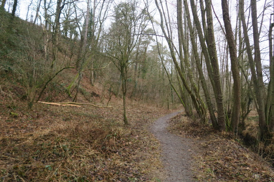 calestienne0821.jpg