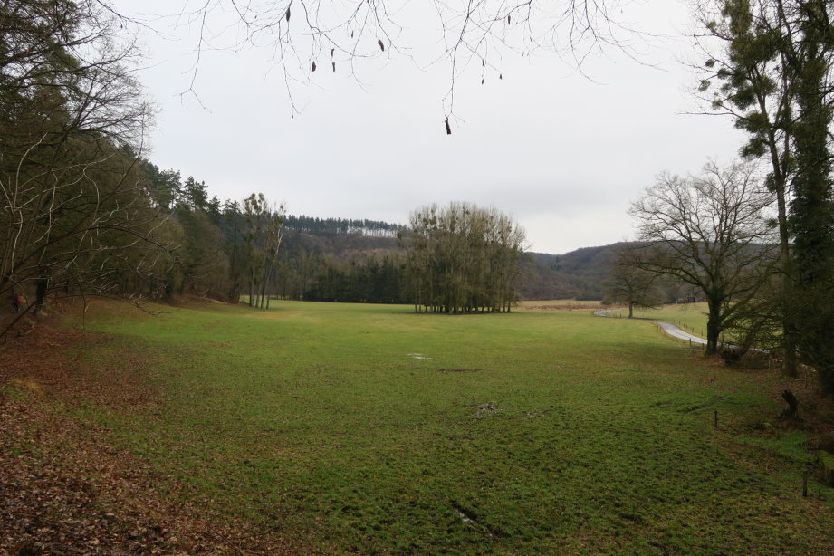 calestienne0823.jpg