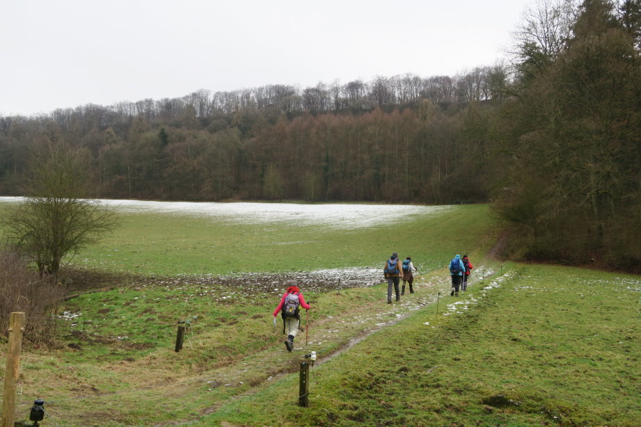 calestienne0839.jpg