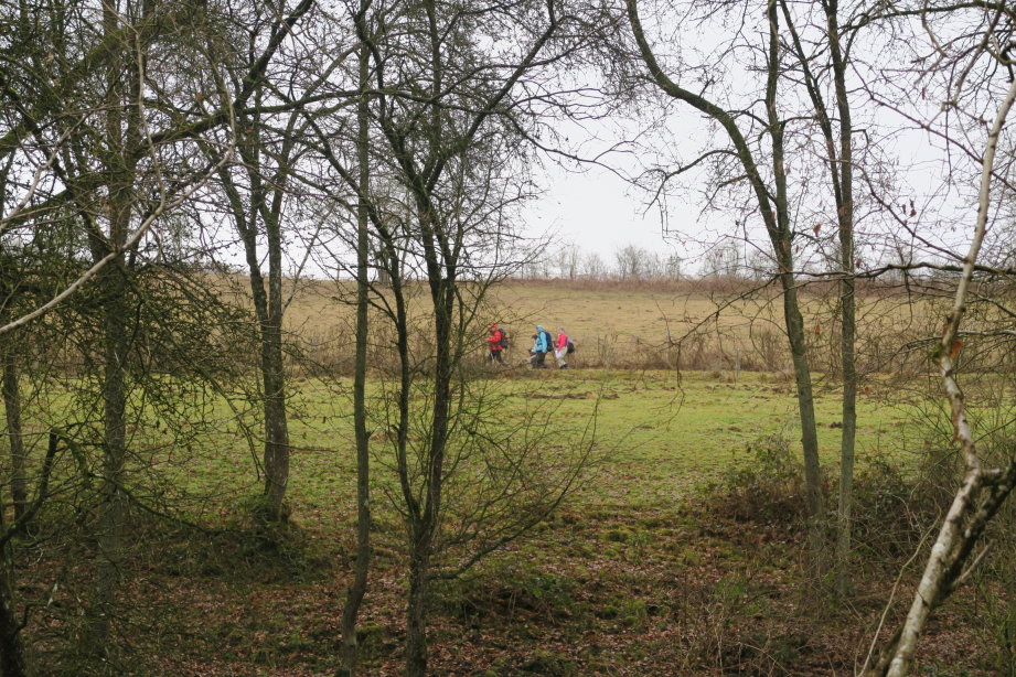 calestienne0844.jpg