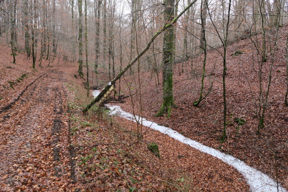 calestienne0846.jpg