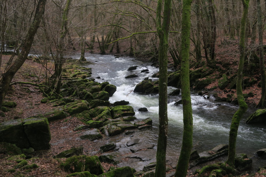 calestienne0850.jpg