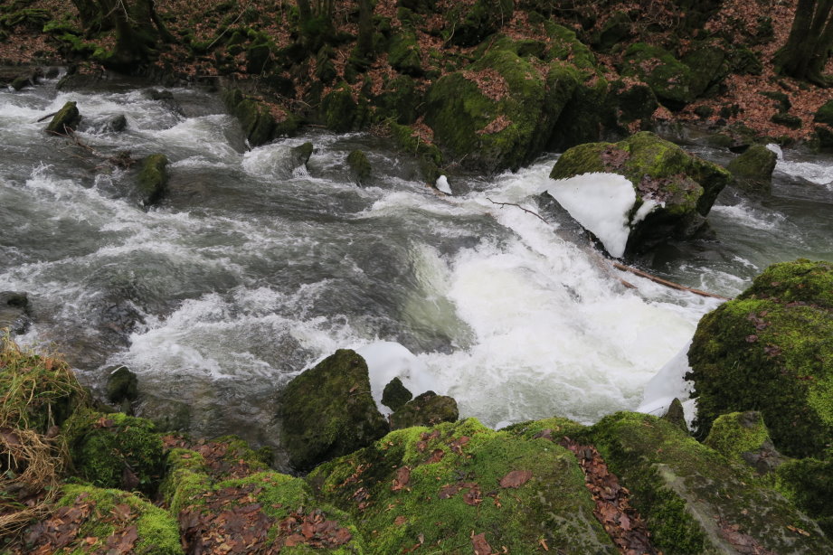 calestienne0851.jpg