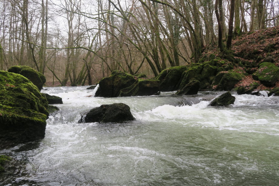 calestienne0852.jpg
