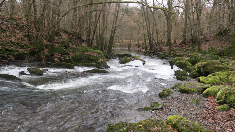 calestienne0858.jpg
