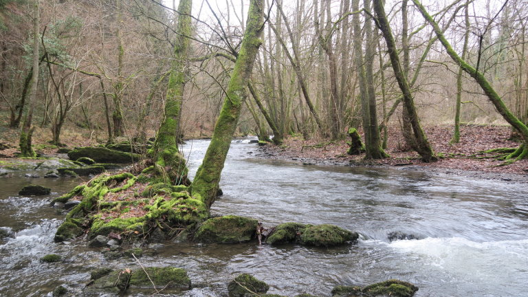 calestienne0862.jpg