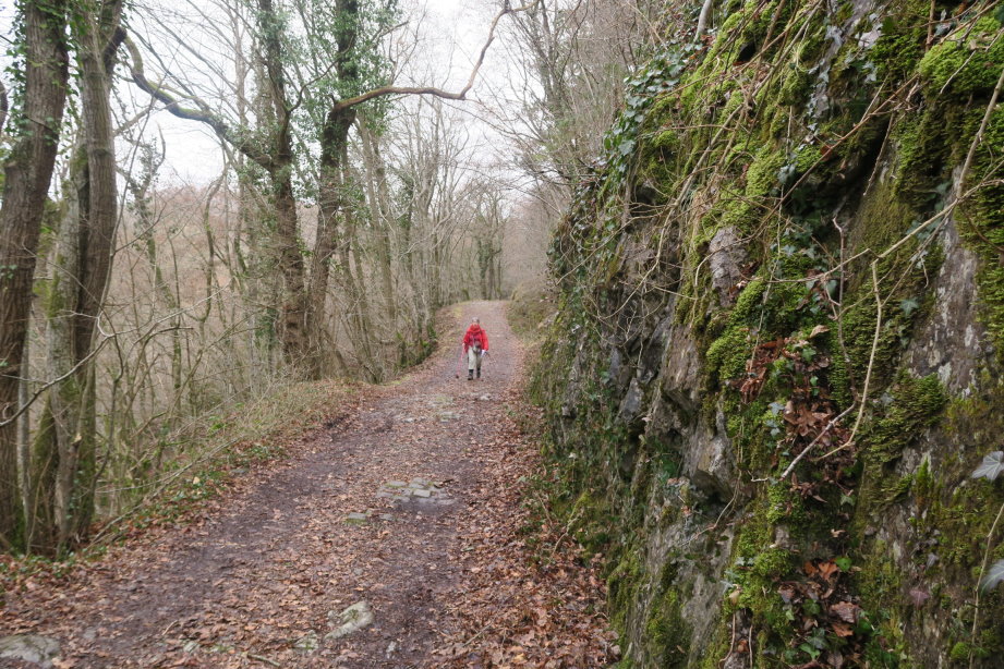 calestienne0864.jpg