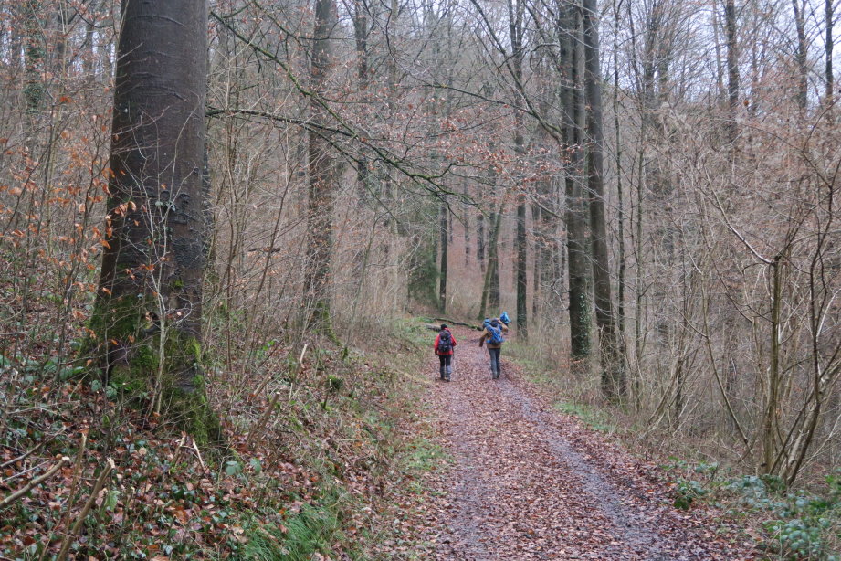 calestienne0867.jpg