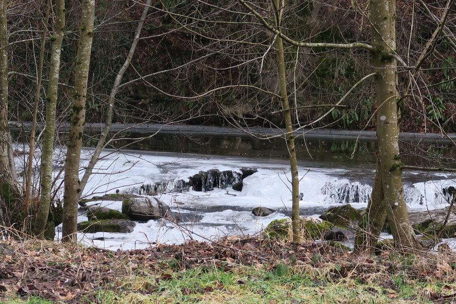 calestienne0880.jpg