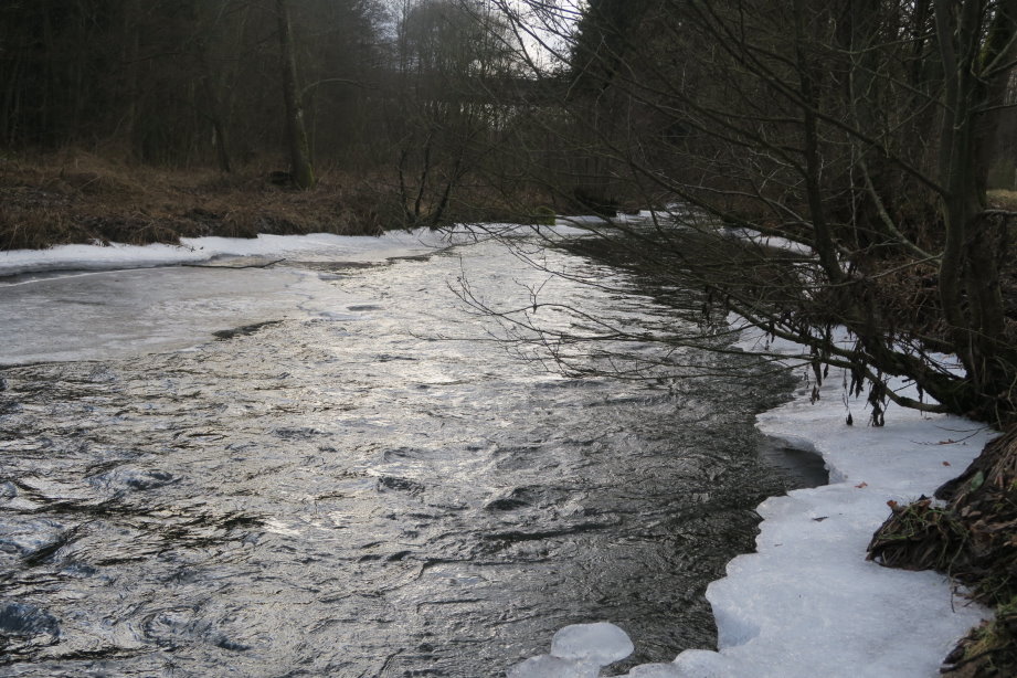 calestienne0881.jpg