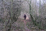 calestienne0916.jpg
