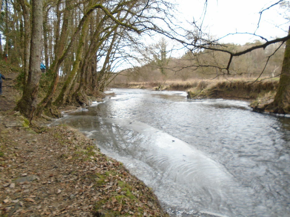 calestienne06215_31790682104.jpg