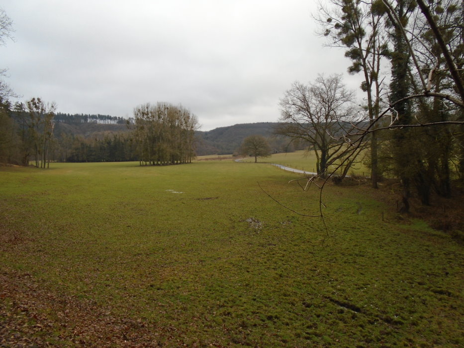 calestienne06227_31809006904.jpg
