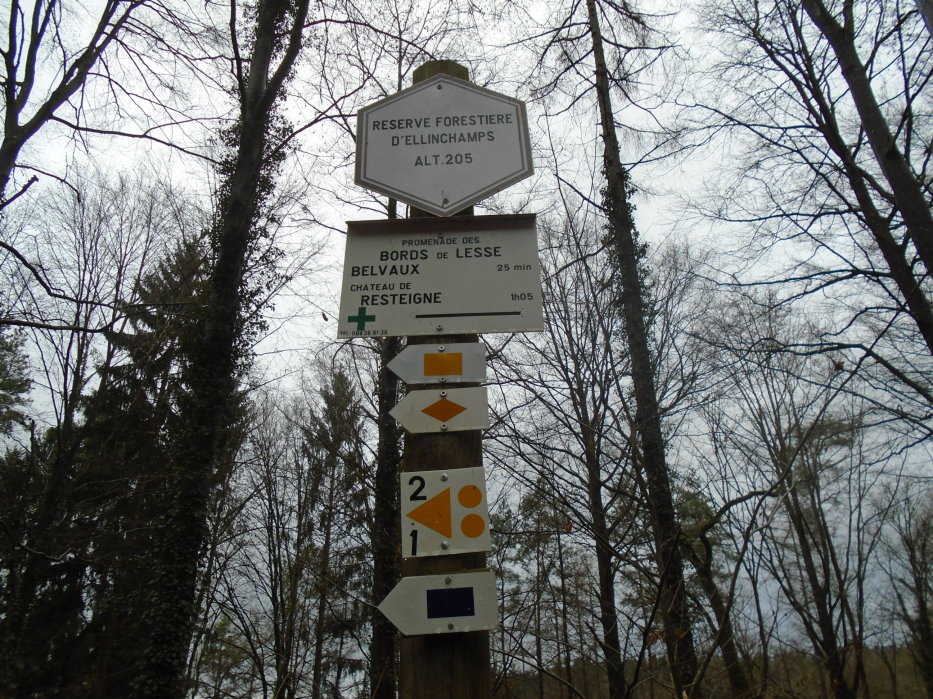 calestienne06247_31839731403.jpg