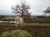 calestienne06237_31839750693.jpg