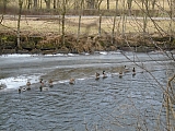 calestienne06250_31808975814.jpg