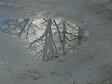 calestienne06268_32272658990.jpg
