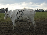 calestienne06279_31808922864.jpg