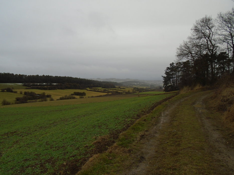 calestienne06295_32613972165.jpg
