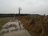 calestienne06294_31801859533.jpg