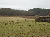 calestienne06296_32573662526.jpg