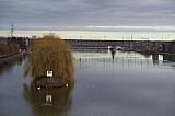 maastricht0932.jpg