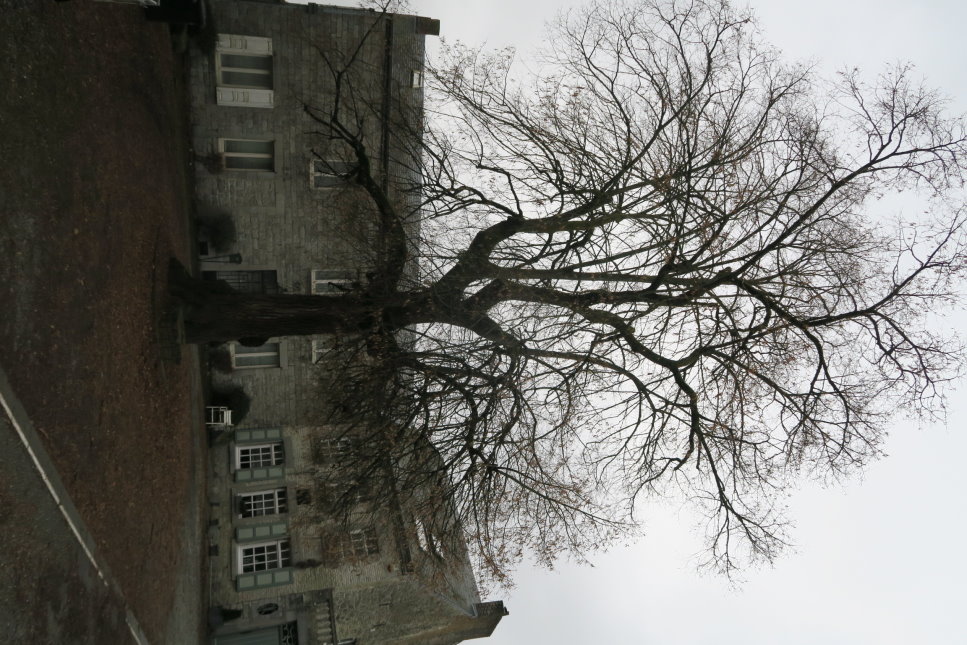 calestienne1352.JPG