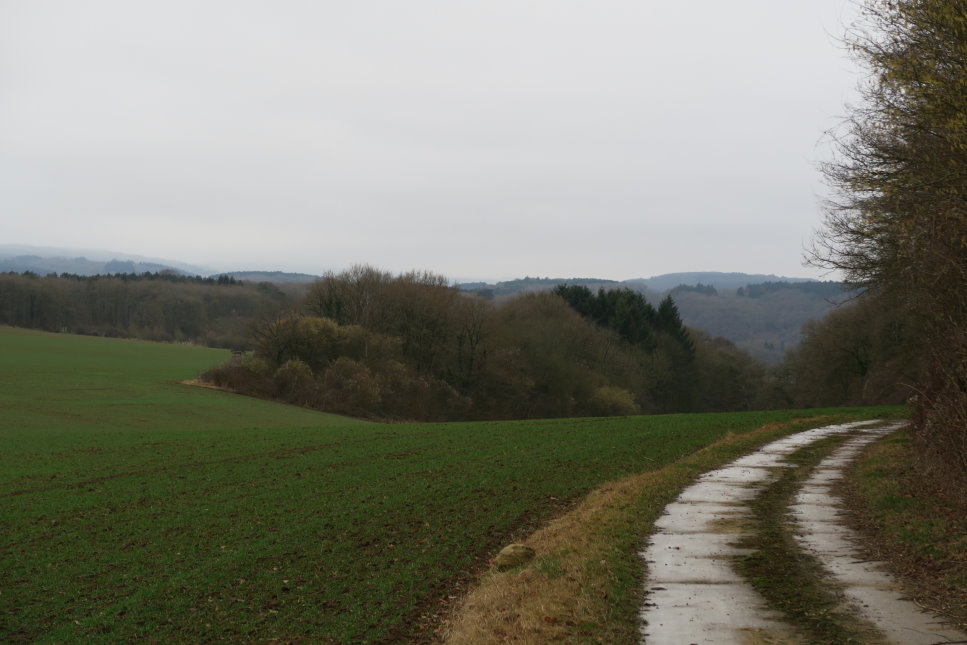 calestienne1398.JPG